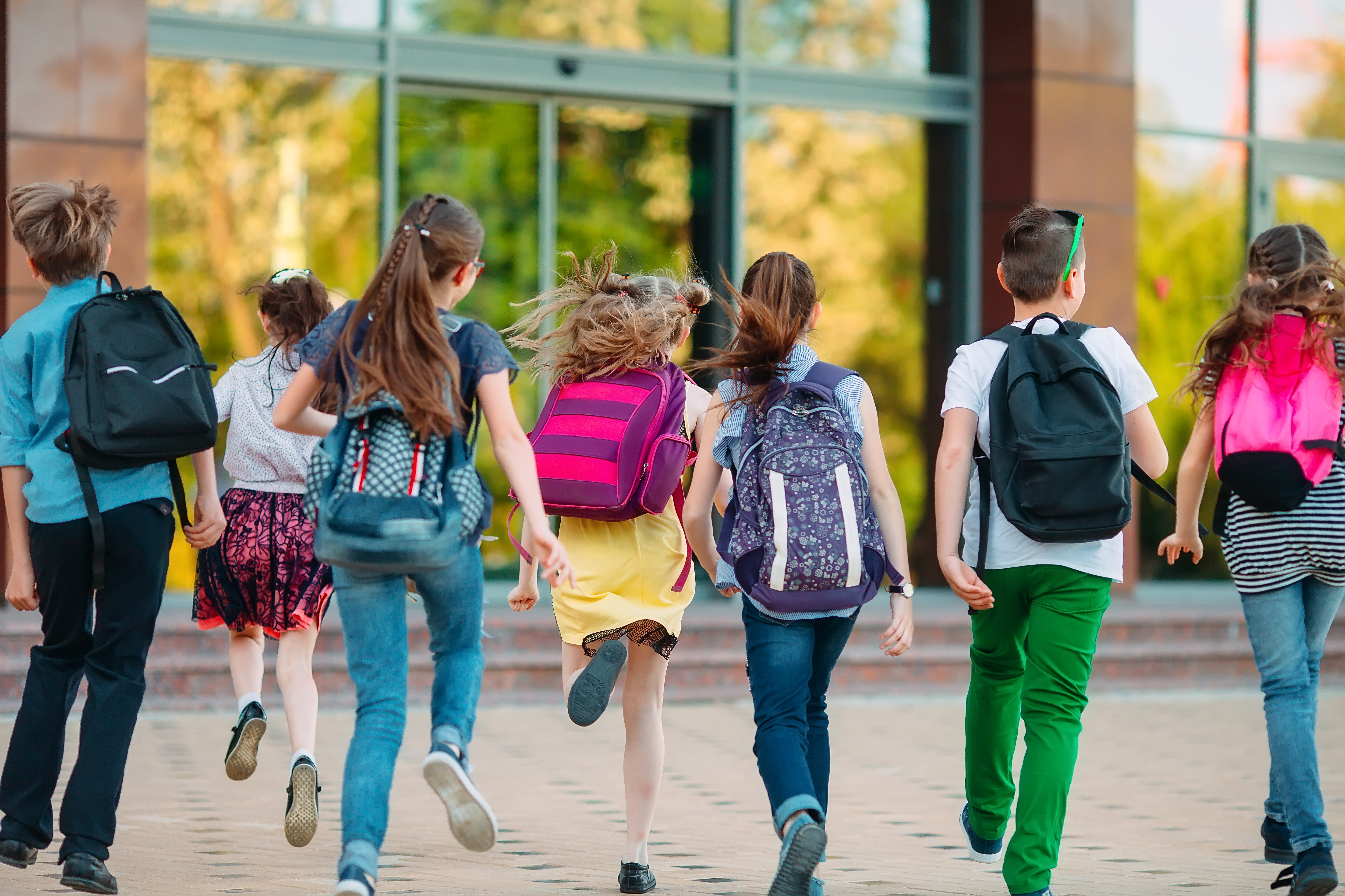 Preventing Regression During Summer Breaks: A guide for SLPs and OTs to share with families